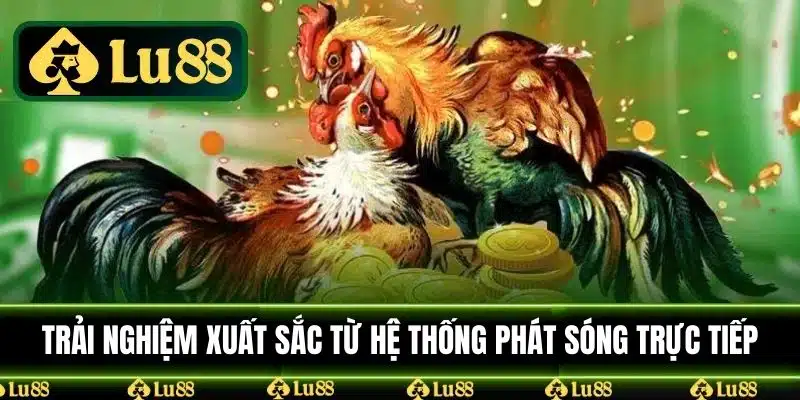 Trải nghiệm xuất sắc từ hệ thống phát sóng trực tiếp