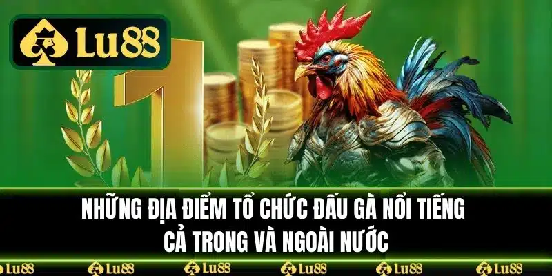 Những địa điểm tổ chức đấu gà nổi tiếng cả trong và ngoài nước